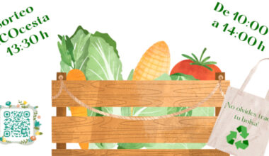 El Mercado Agroecológico de la UCA regresa al Campus de Puerto Real