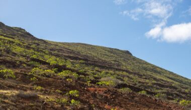 Participa en el concurso de fotografía de La Voz y gana una comida para dos personas en Lanzarote
