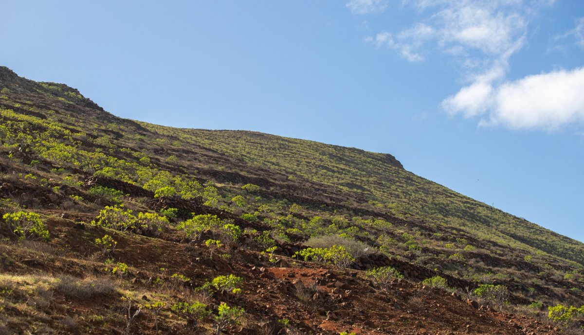 Participa en el concurso de fotografía de La Voz y gana una comida para dos personas en Lanzarote