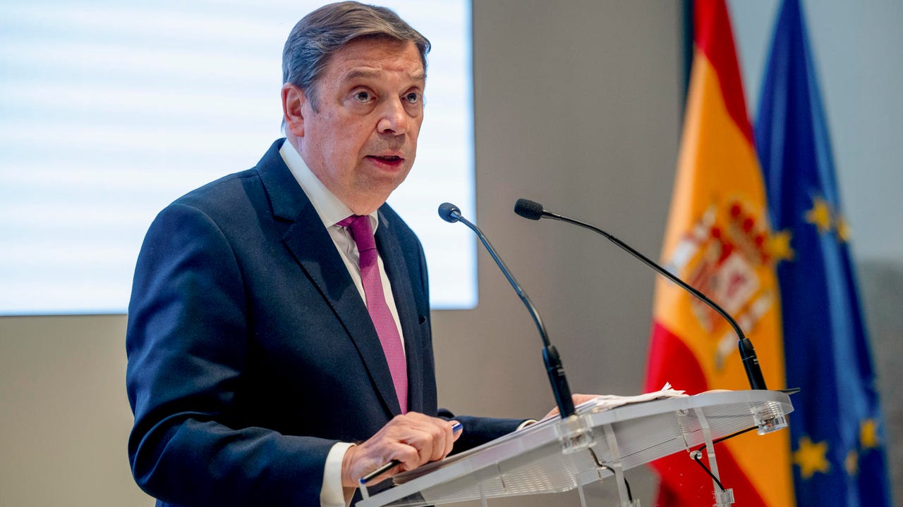 Planas llama a la calma ante el foco de peste porcina que podría provenir de un bocadillo o "elemento de alimentación humana"