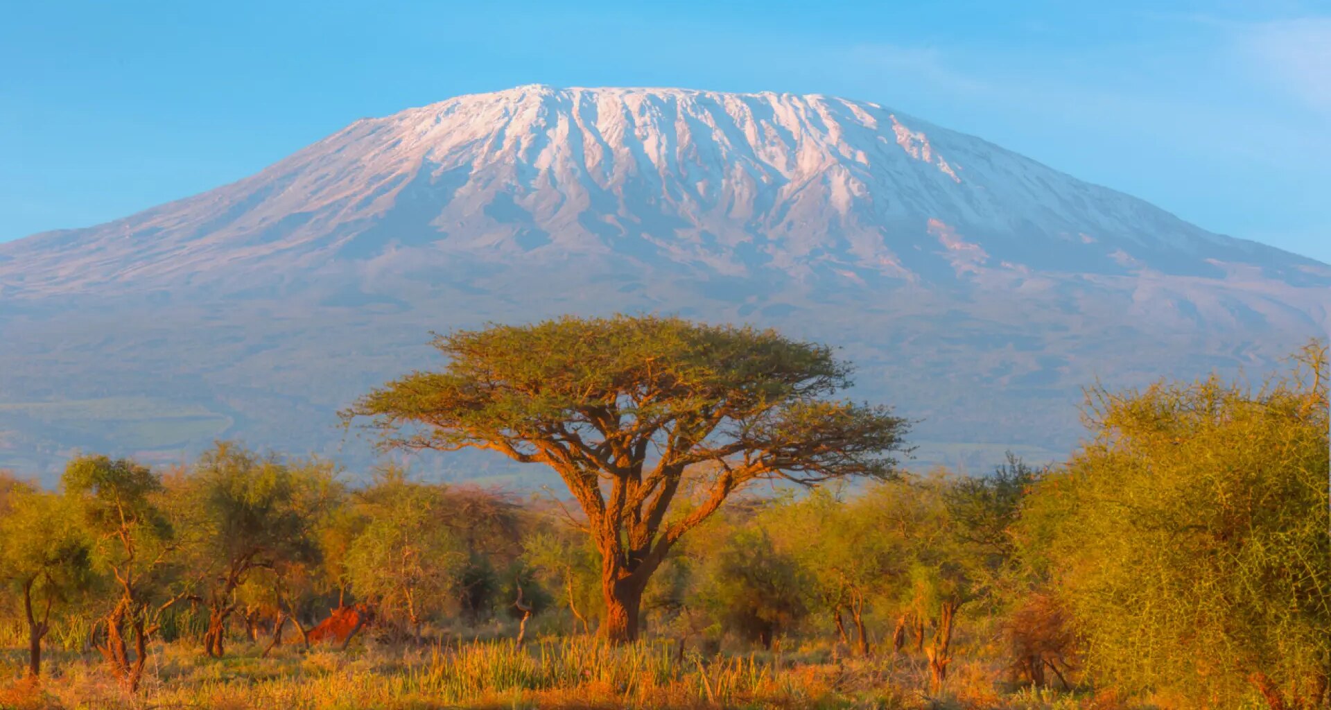Un helicóptero medicalizado con dos turistas a bordo se estrella en el Kilimanjaro: hay cinco muertos