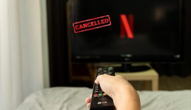 Netflix sorprende con la cancelación de una serie de éxito tras solo una temporada por las críticas recibidas