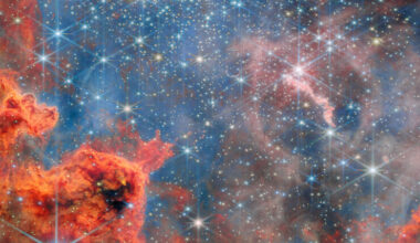 Webb Observa un Cielo Centelleante de Estrellas Enanas y Gigantes