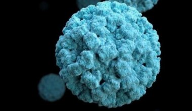 La nueva variante detrás de los casos de gastroenteritis aguda en adultos y ancianos (y cómo se diferencia de la clásica GII.4)