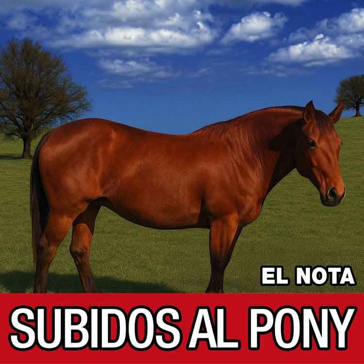 Portada de Subidos al pony, disco de Nota