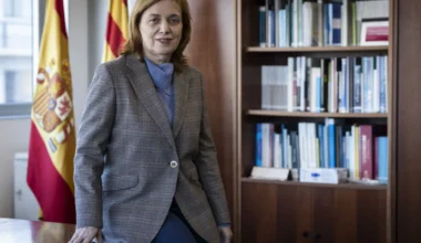 La gripe se queda en Aragón por Navidad: "Nuestro comportamiento en las fiestas va a ser clave" - heraldo.es