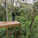 Parque Provincial Urugua-í: amplificadores de paisaje / ENNE Arquitectura - Fotografía exterior, Madera, Bosque