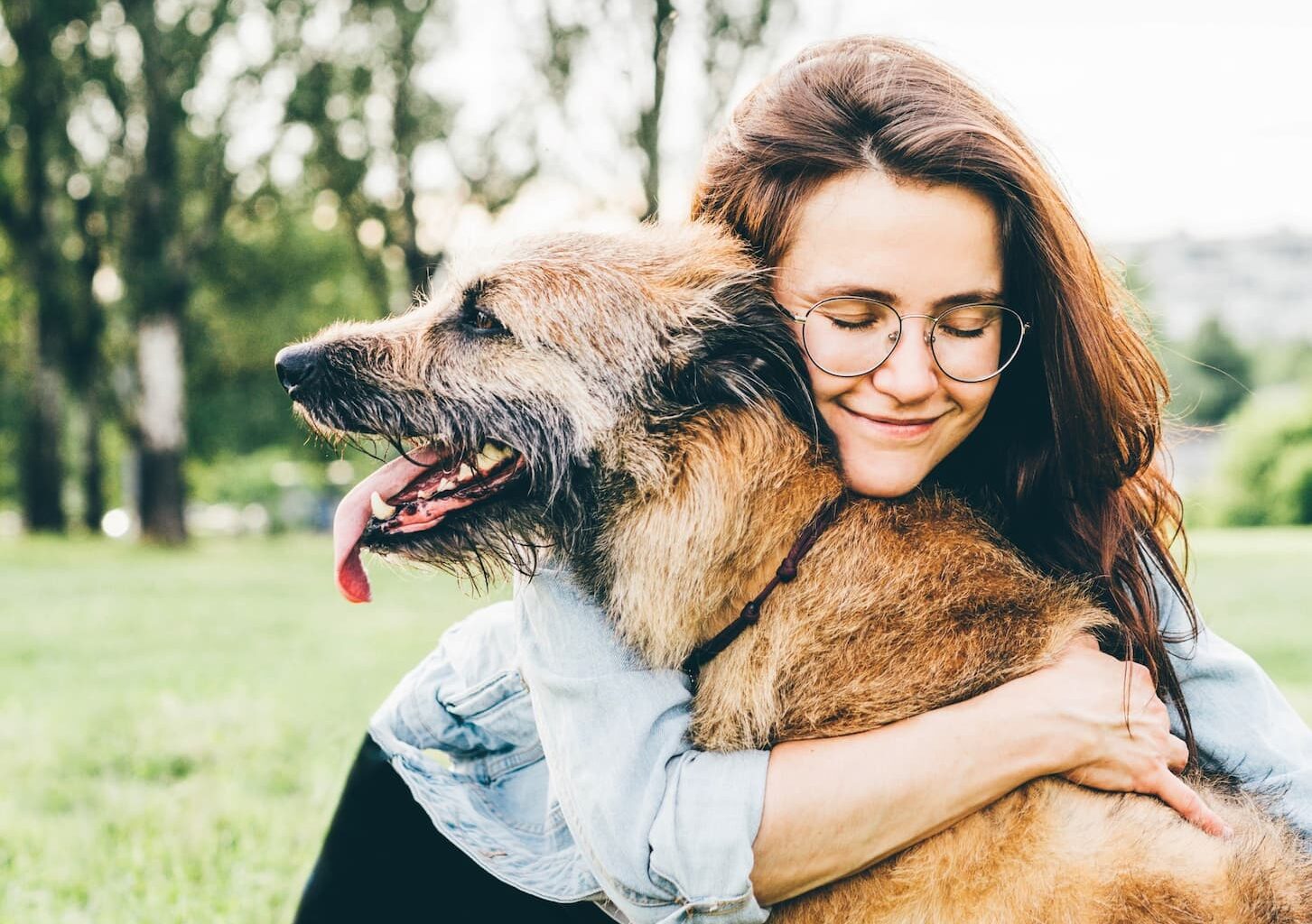 Buscan retrasar envejecimiento de perros y replicarlo en humanos
