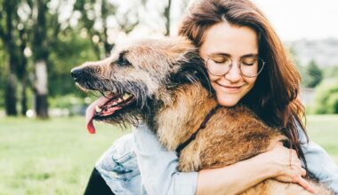 Buscan retrasar envejecimiento de perros y replicarlo en humanos