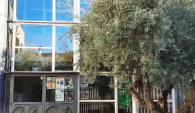 Cuentacuentos de Navidad | Taller lectura Universidad Popular