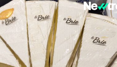 Los lácteos grasos como el queso no evitan la demencia