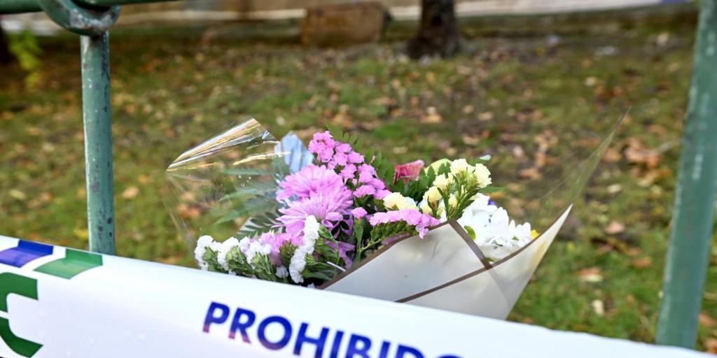 El suicidio de las dos adolescentes de Jaén no es un caso de acoso escolar