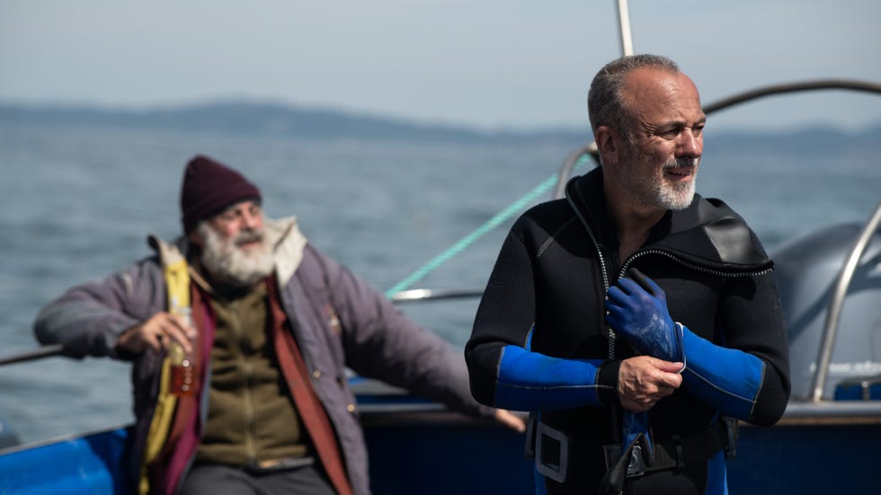 javier gutierrez rondallas