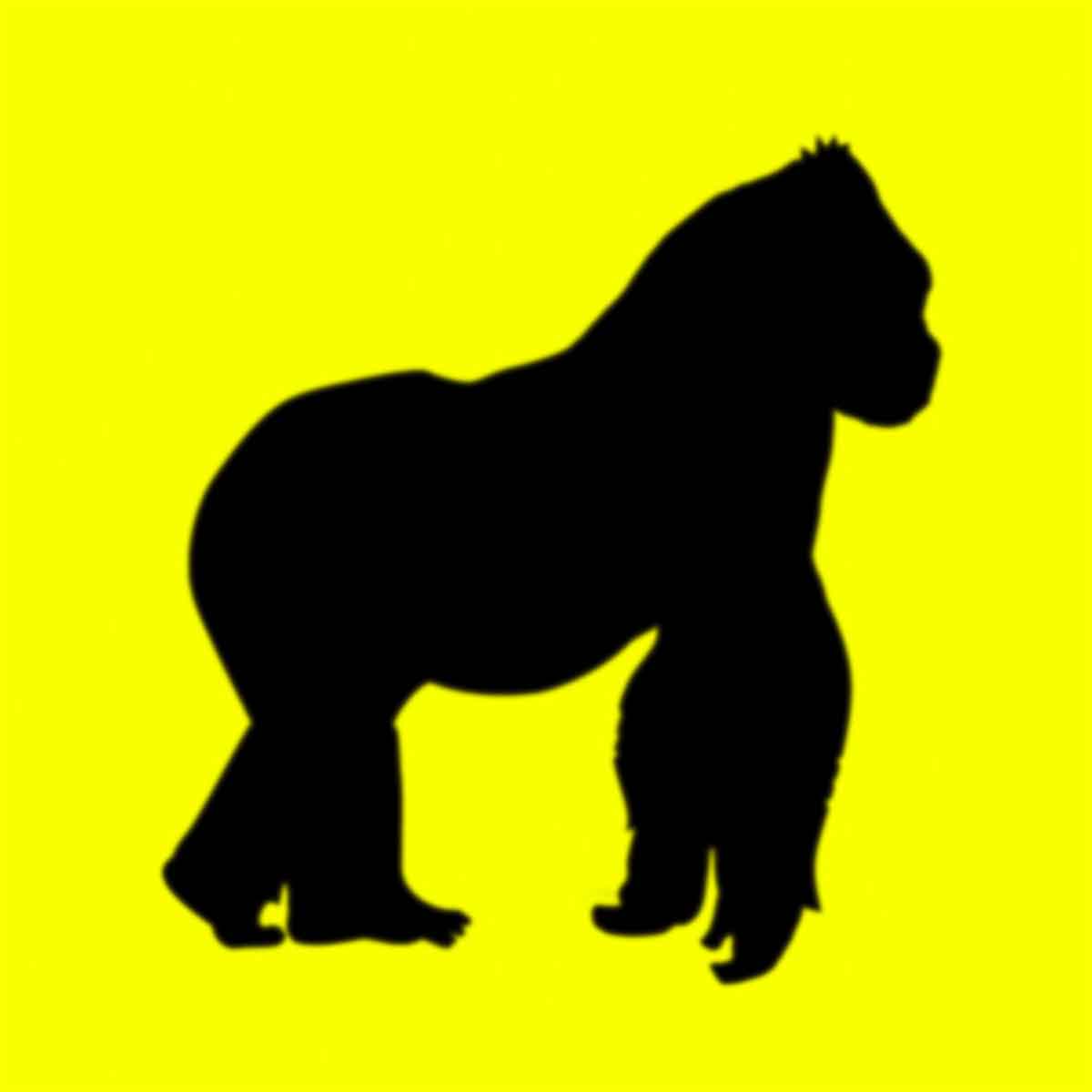 Portada de Daisy, disco de Rusowsky