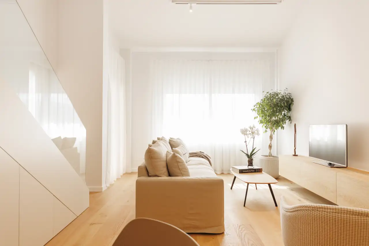 Salón luz natural y planta