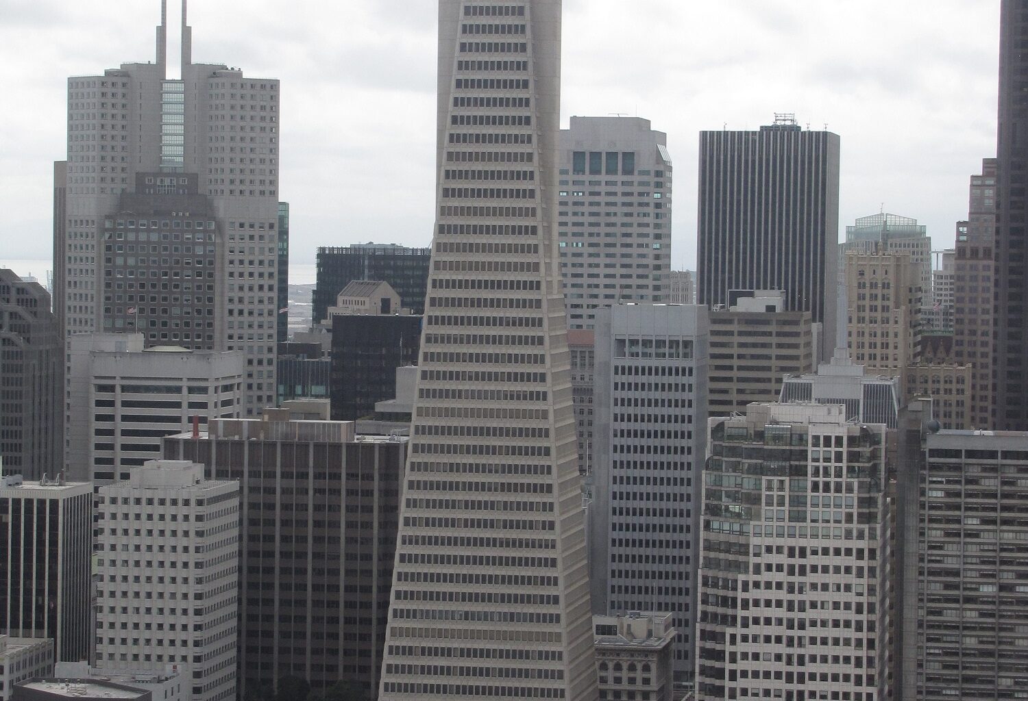 La arquitectura ya no será una "carrera profesional" en Estados Unidos - Focus Piedra