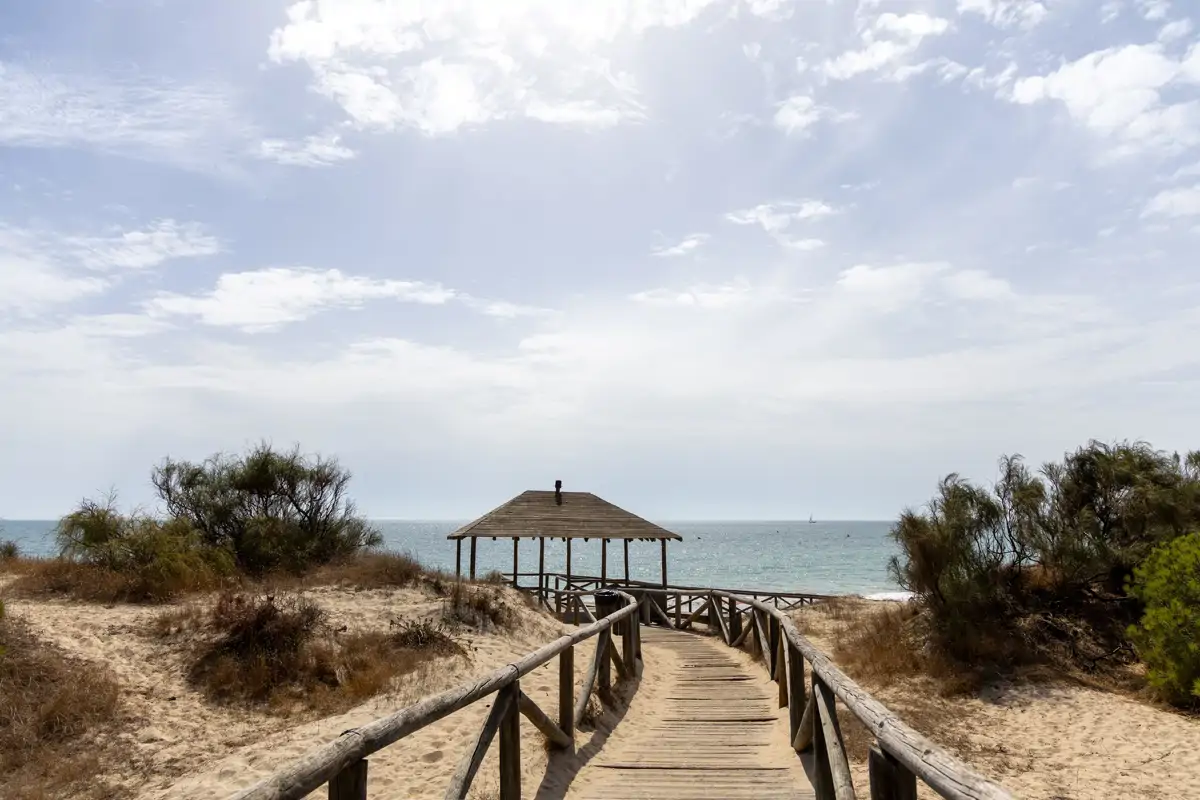 shutterstock 2696093637