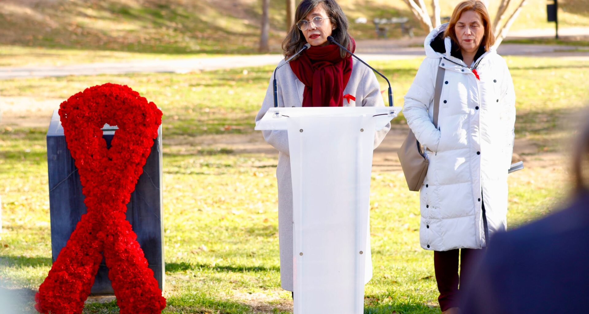 Pulsa para ver la imagen en grande