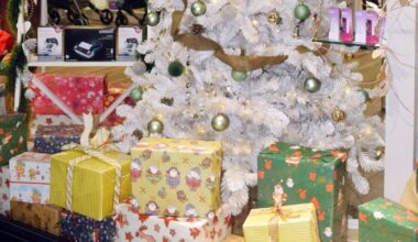 El pequeño comercio de Daimiel mantiene activo hasta el 6 de enero la iniciativa municipal ‘Comprar en Daimiel esta Navidad tiene premio’