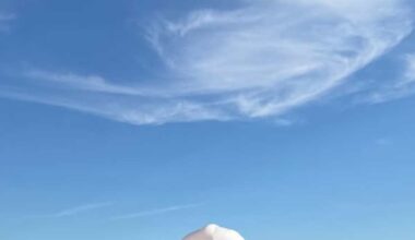 todo sobre la nueva casa de Sofía Suescun y Kiko Jiménez