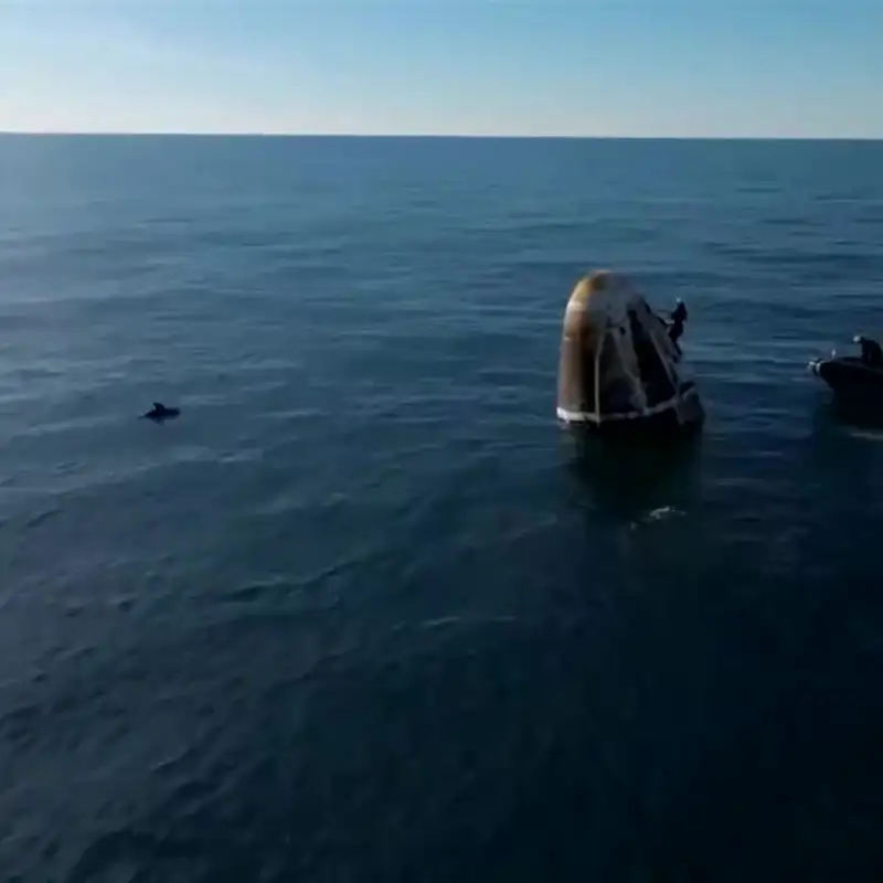 ssstwitter com 1742417643944   frame at 0m1s