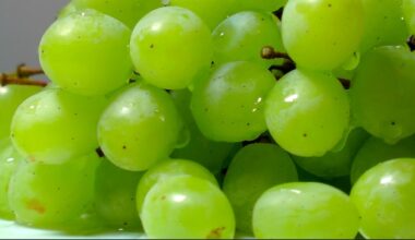 Uva: una fruta rica en antioxidantes y potasio que mejora la salud cardiovascular - Noticias - Ministerio de Salud