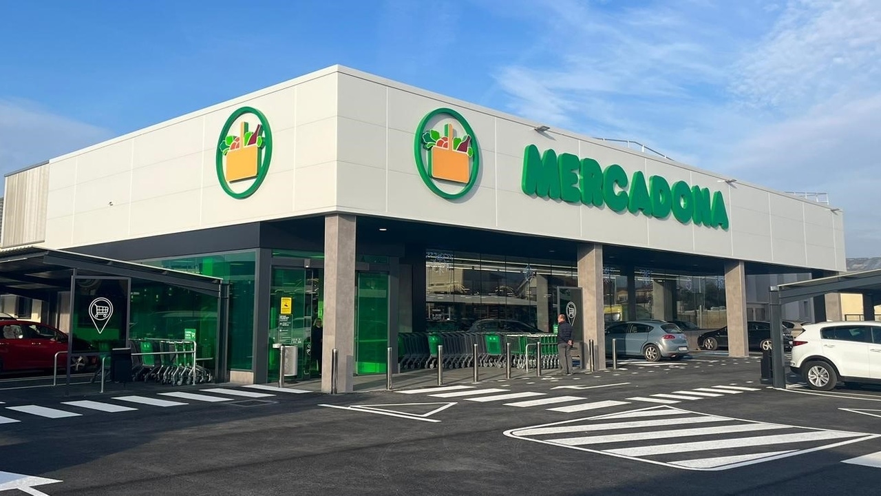 Qué supermercados abren durante el puente de diciembre: horarios de Mercadona, Carrefour o Lidl