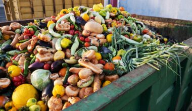 Qué es el upcycling de los alimentos