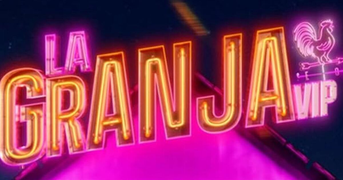 ¿Puedo votar durante la gran final de HOY domingo 21 de diciembre?