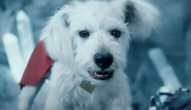 la escena más triste del tráiler y lo que revela el cómic Woman of Tomorrow