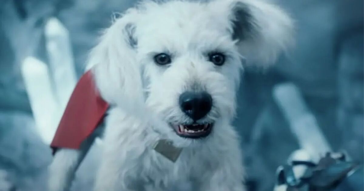 la escena más triste del tráiler y lo que revela el cómic Woman of Tomorrow