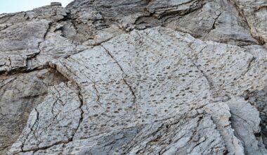 Fotógrafo encuentra miles de huellas de dinosaurios cerca de sede olímpica en Italia