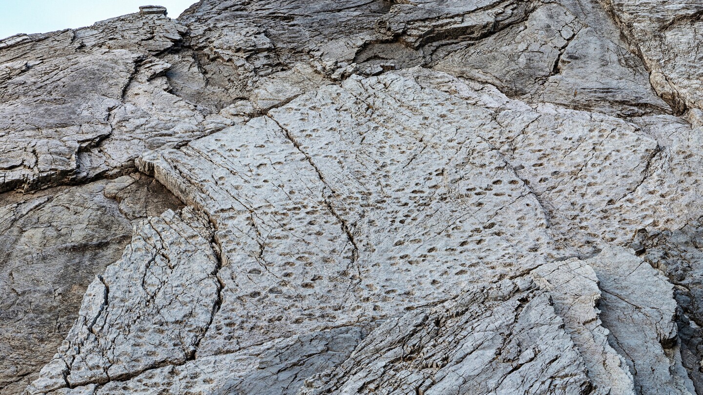 Fotógrafo encuentra miles de huellas de dinosaurios cerca de sede olímpica en Italia