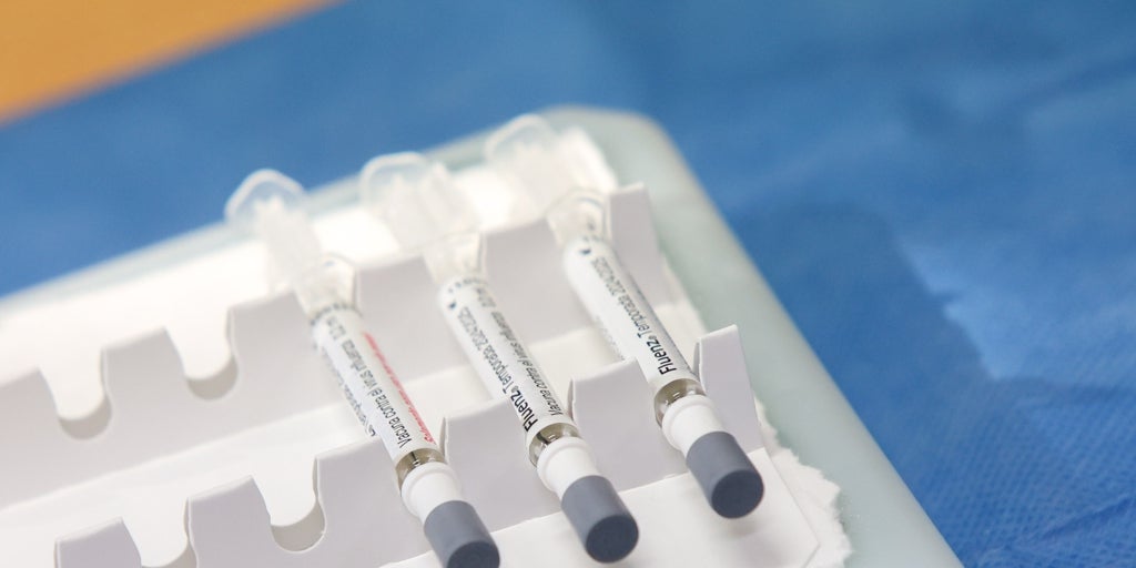 El Servicio Andaluz de Salud (SAS) vacuna este sábado contra la gripe en centros comerciales sin cita previa