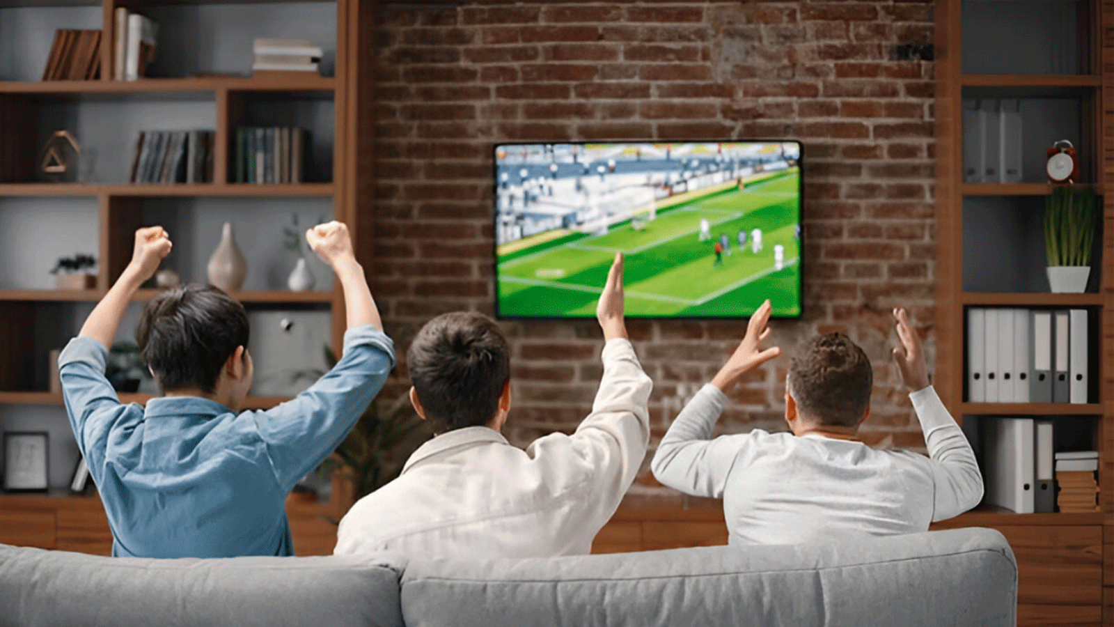 viendo fútbol en la TV