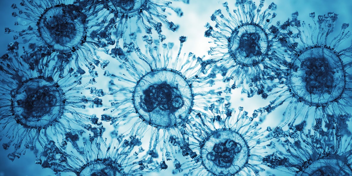 La ciencia explora un inquietante tercer estado de la vida celular