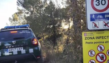 principal hipótesis del brote de peste porcina detectado en Cataluña