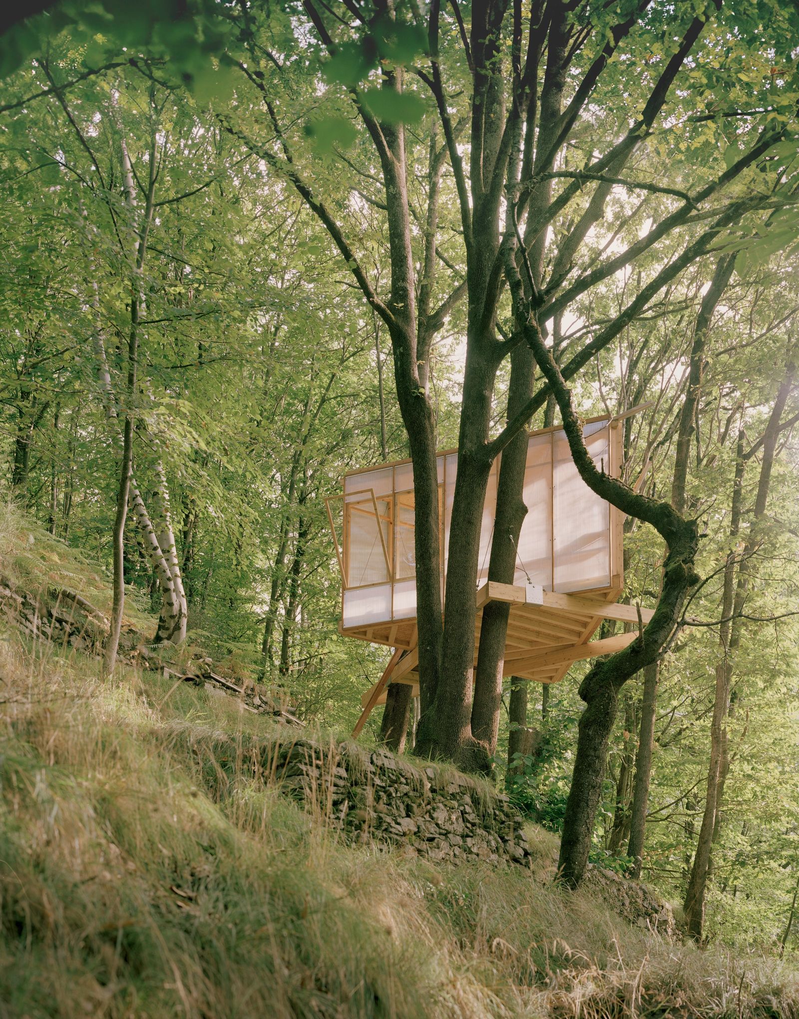 Casa en el rbol triangulara