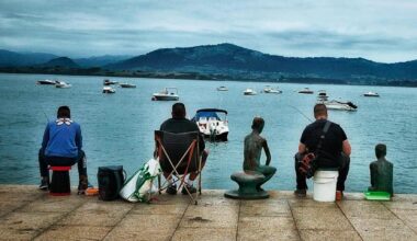 la cadena creativa que convierte la galería del móvil en obra de arte