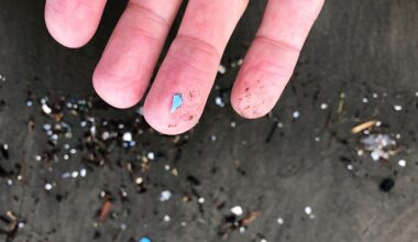 Cómo los microplásticos socavan el escudo natural de la Tierra frente al cambio climático