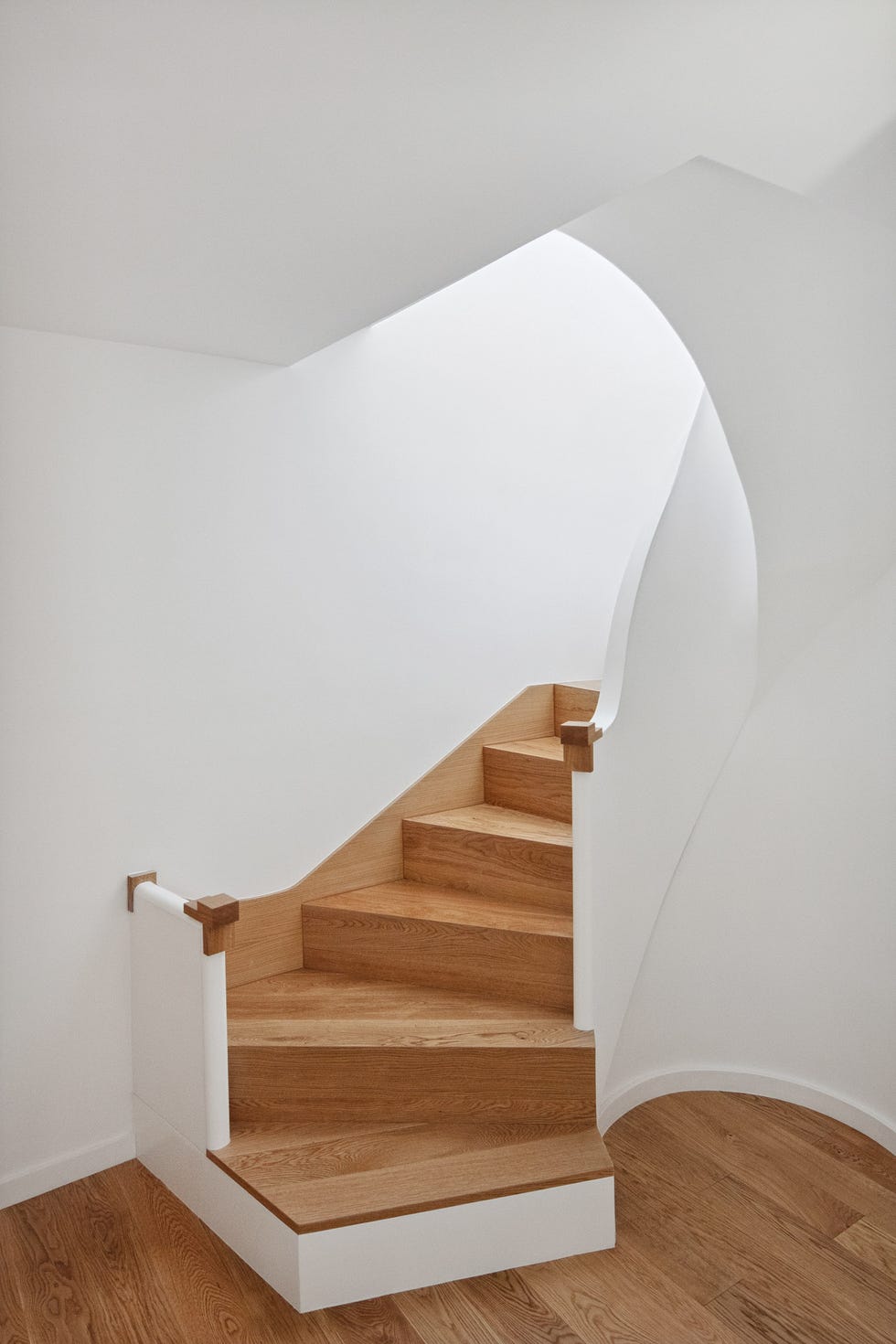 solar estrecho alargado casa dos volumenes patio interior anexo con cúpula