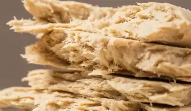 China aprueba su primer ingrediente de micoproteína