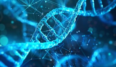El primer mapa tridimensional de los cromosomas humanos revela claves sobre las enfermedades genéticas