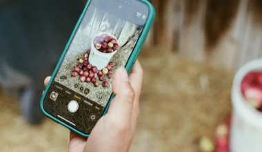 Así puedes borrar objetos de una foto en iPhone sin usar Apple Intelligence y en solo segundos