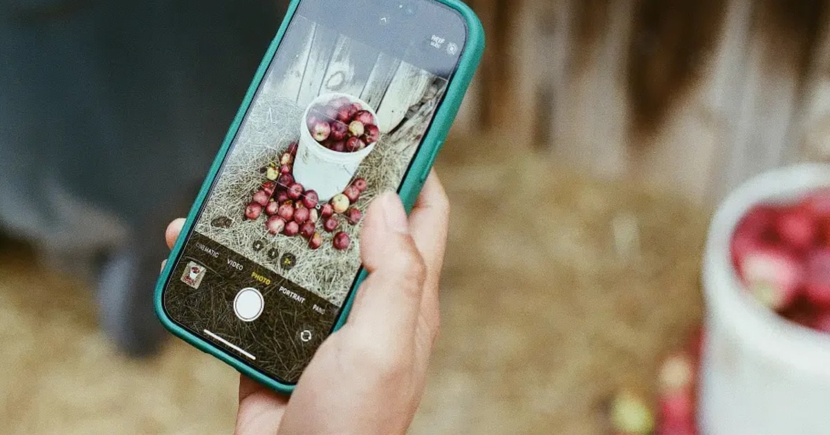 Así puedes borrar objetos de una foto en iPhone sin usar Apple Intelligence y en solo segundos