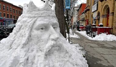 La escultura de nieve de Henrik Lojka atrae a decenas en Brooklyn
