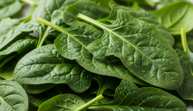 Una taza diaria de verduras de hoja verde puede reducir 26 % el riesgo de enfermedades del corazón