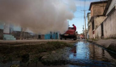 Sigue disminuyendo la incidencia de arbovirosis - Juventud Rebelde