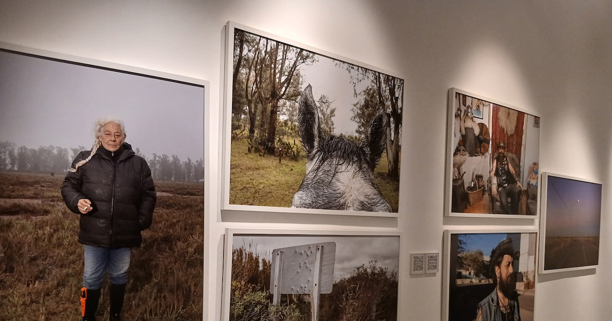Premian una obra que retrata la vida de silvers que transforman sus comunidades