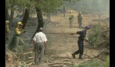 'Del negro al verde', el documental sobre el incendio que marcó una época en Soria
